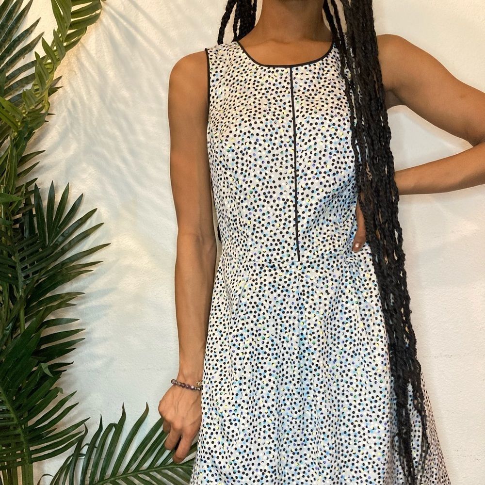 The Limited Polka Dot Dress